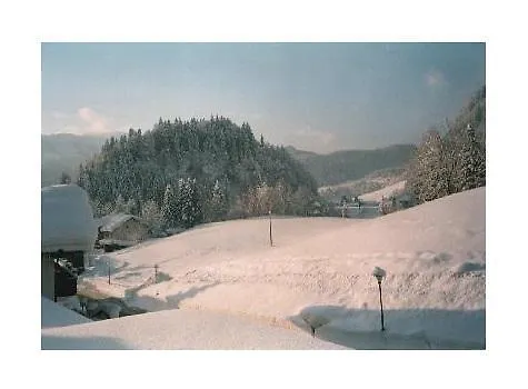 Sport-Alpin-Wohnung-9 Oberstdorf 0*,  Tyskland